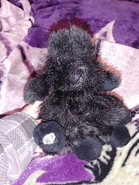 GANZ Webkinz Black Poodle Plush